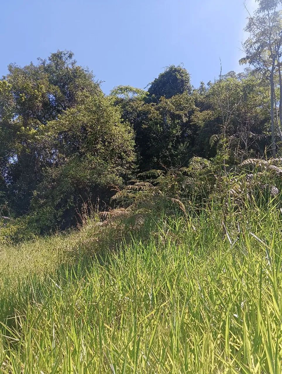 Foto - Taquara - Área Rural de Taquara