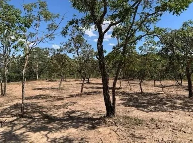 Chácara 1.000m², R$50mil, Parcelada, Energia, 1km Asfalto, 4km do Centro de Aragoiânia - Foto 2