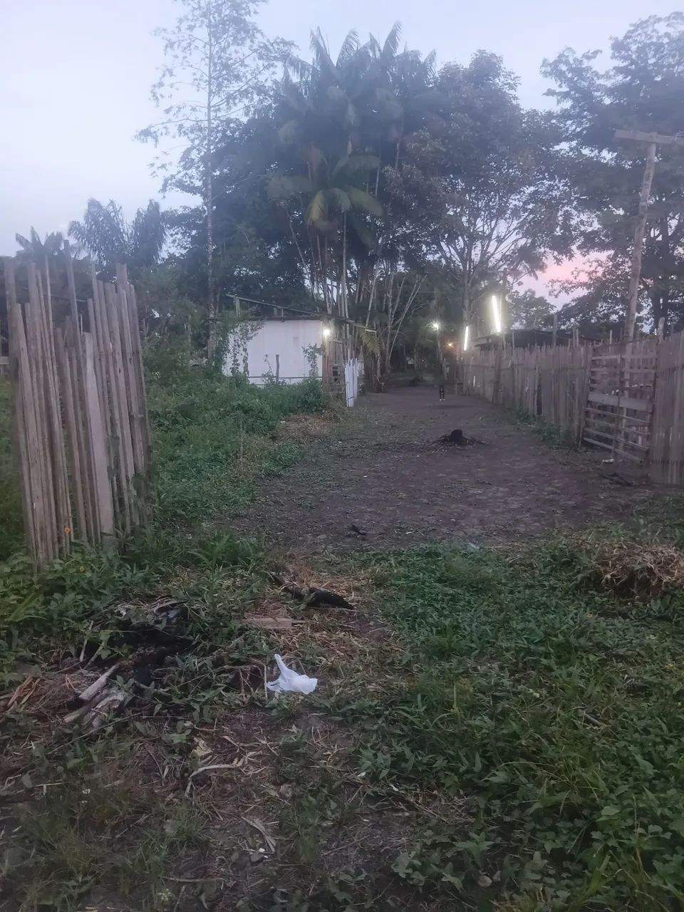 Terreno no Icuí  - Foto 2