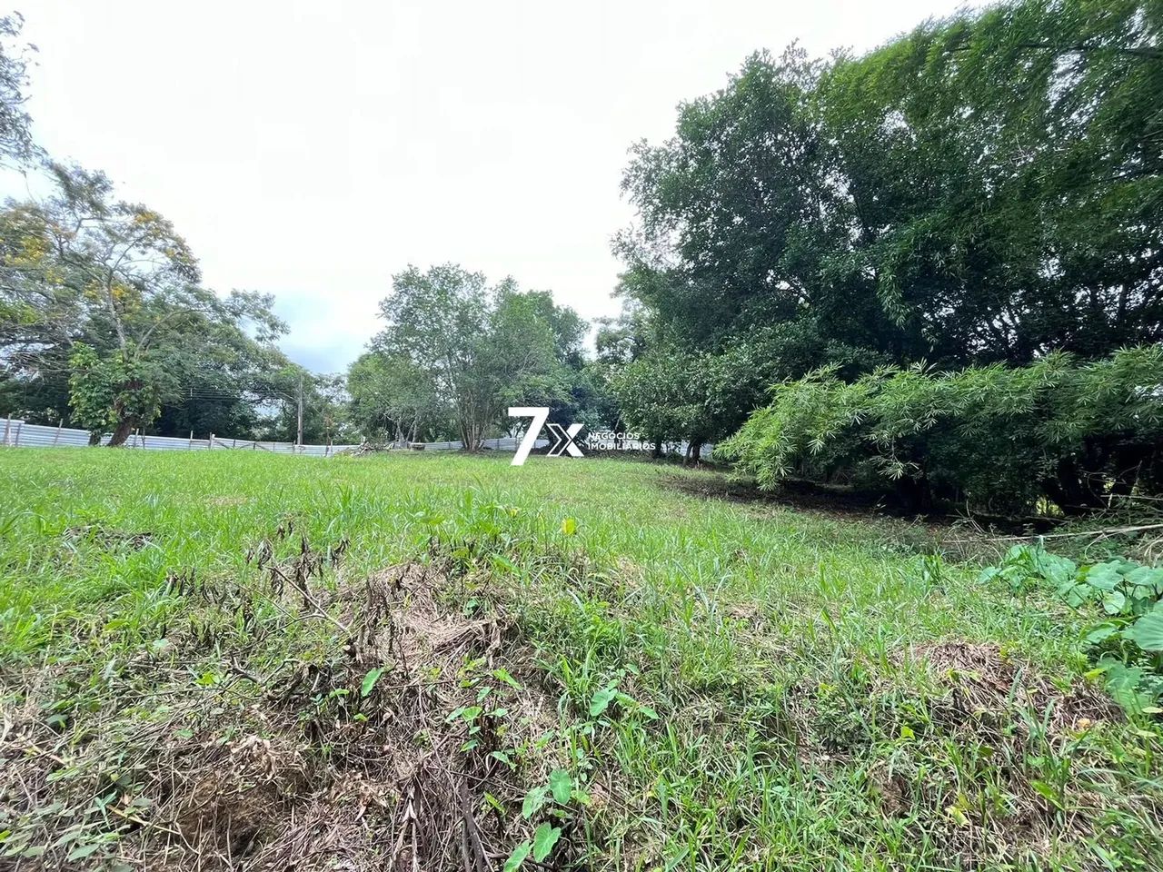 Terreno uso misto em Penedo - Foto 12