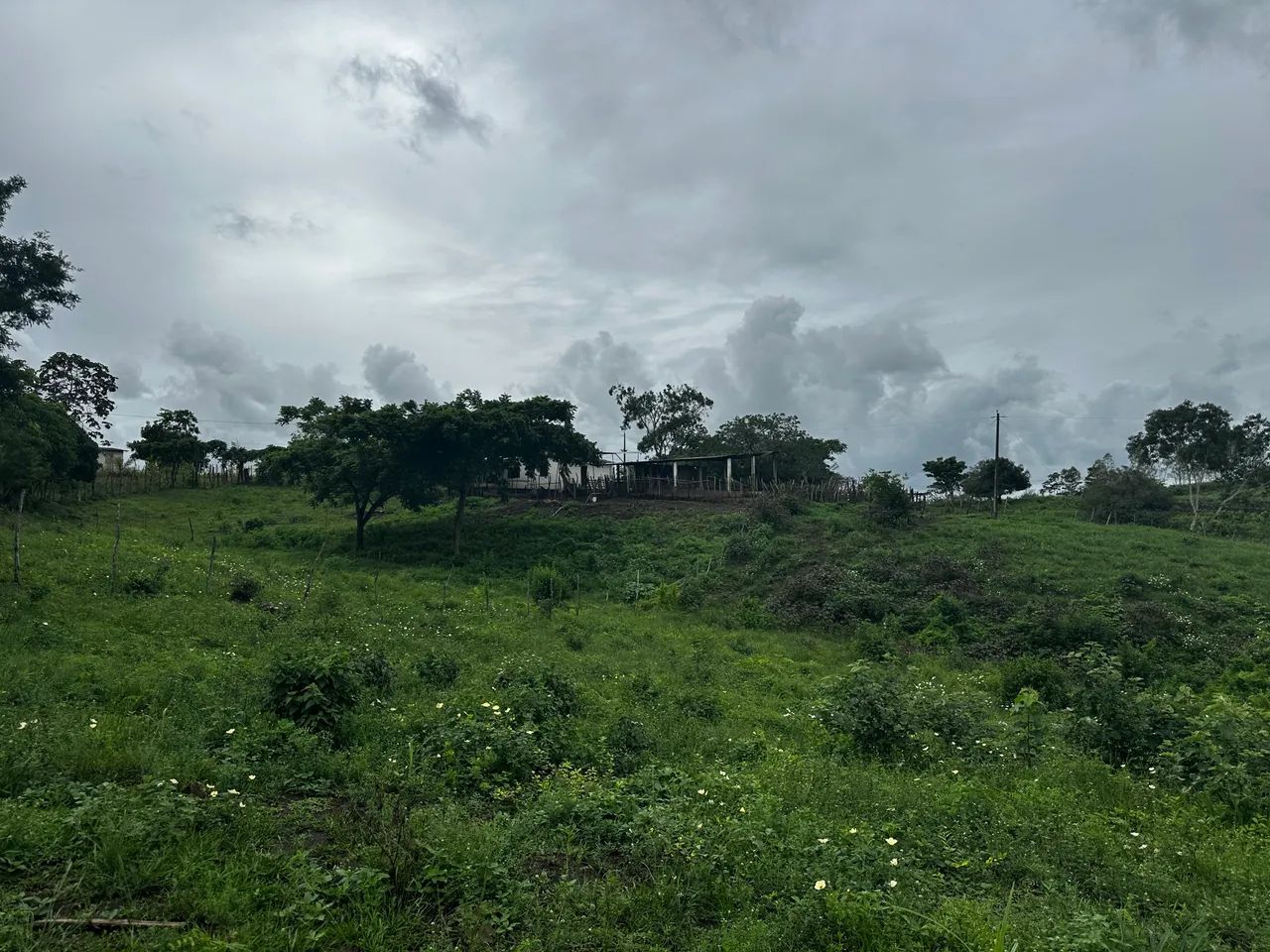 Foto - Recife - Vasco da Gama