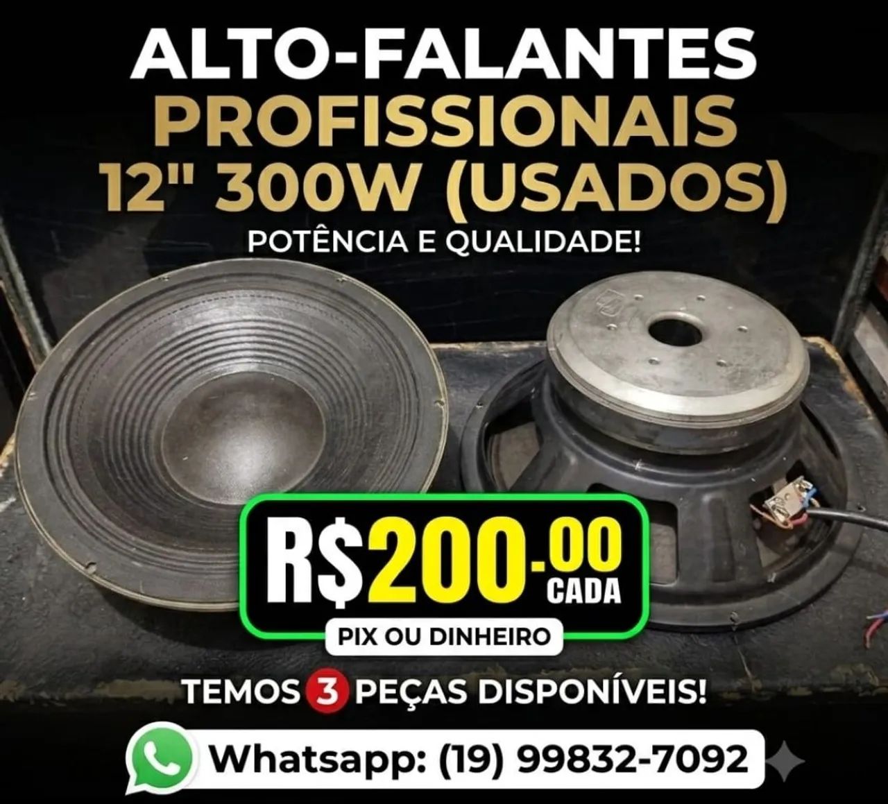 Alto falante 12 polegadas 