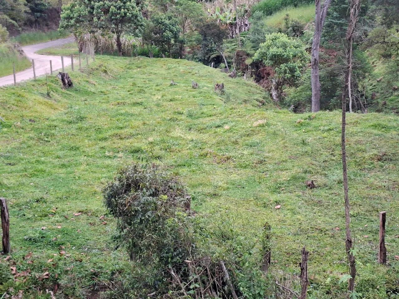 Sítio  - Foto 2