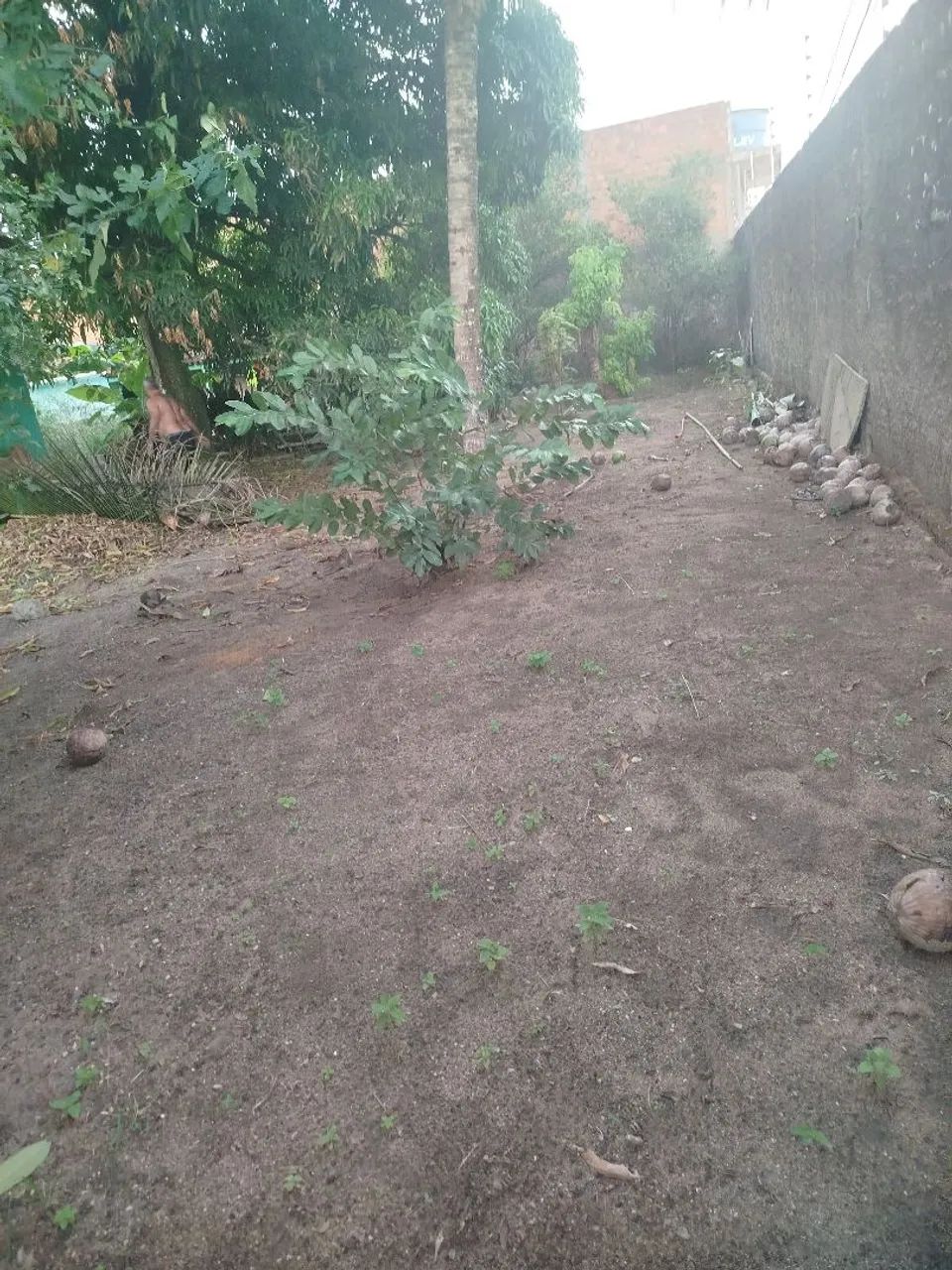 Vende-se terreno  - Foto 3