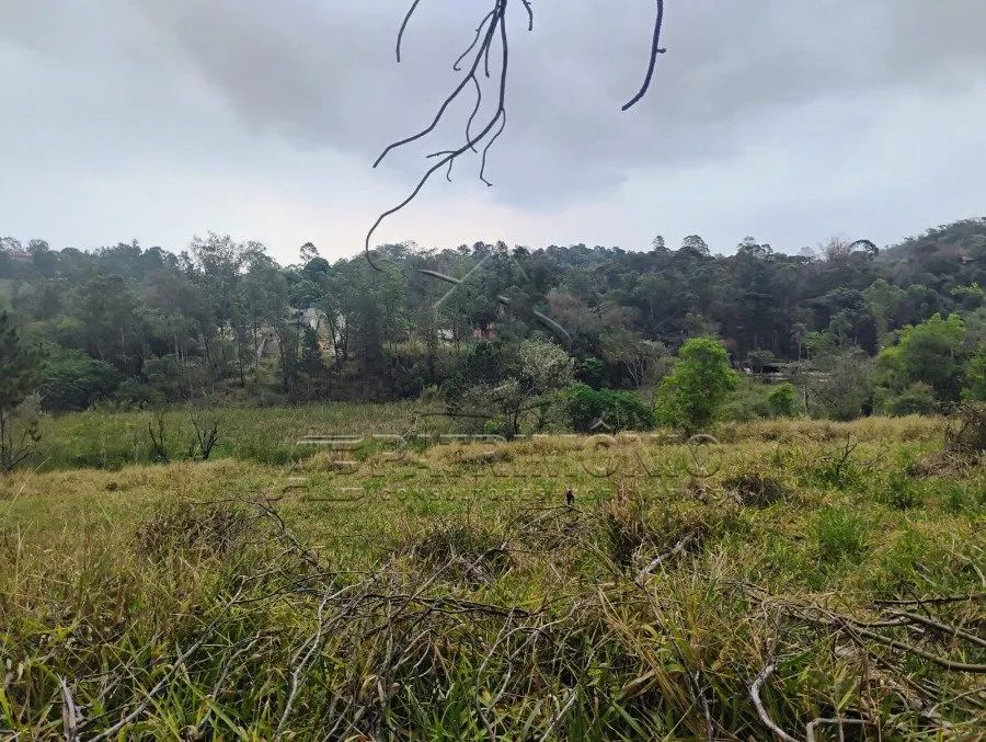 ÁREA, Bairro Caputera - Foto 4