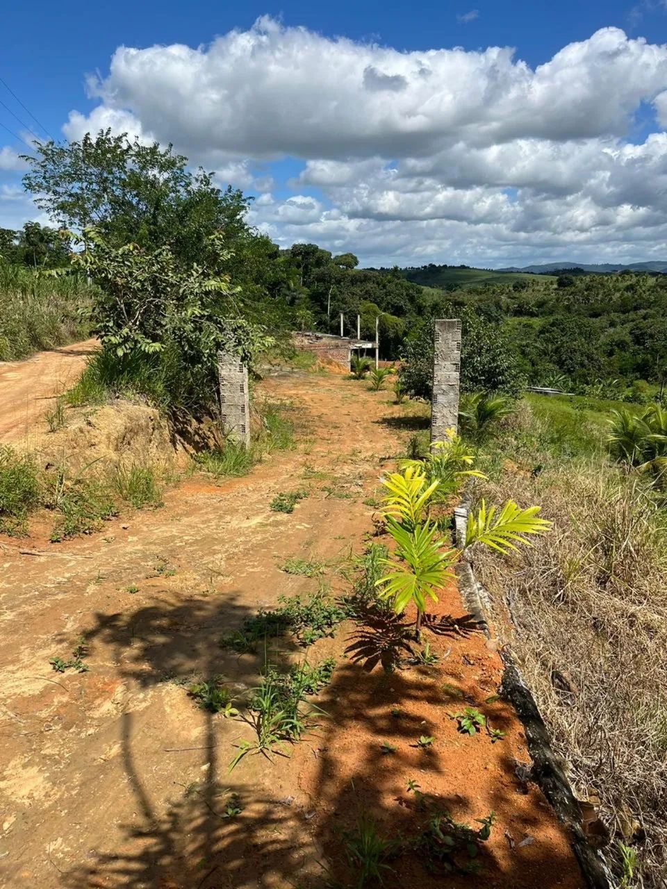 Terreno/Sitio Município de Moreno-PE - Foto 5