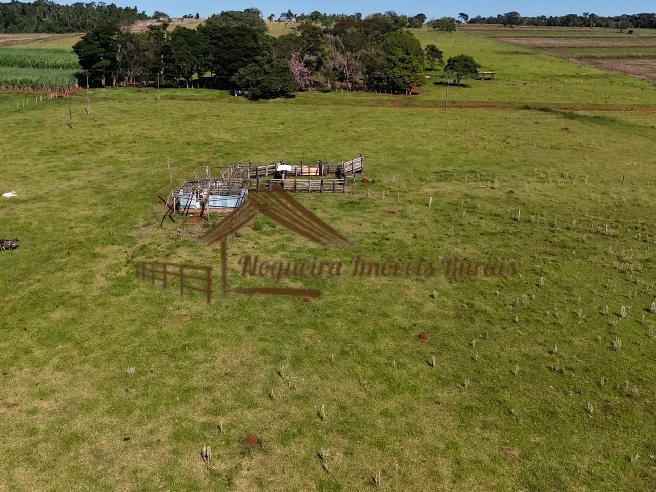 Sitio a venda com 6,4 alqueires em Avaré-SP - Foto 4
