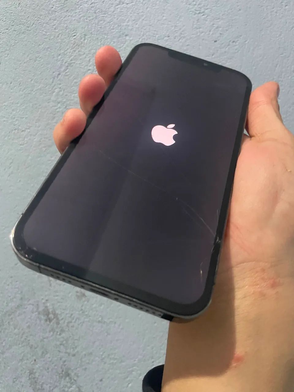 iphone 12 pro max 256gb