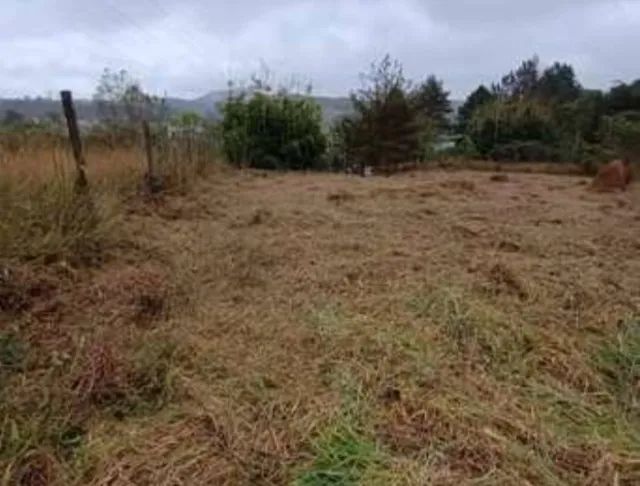 Limpeza de terreno - Foto 3