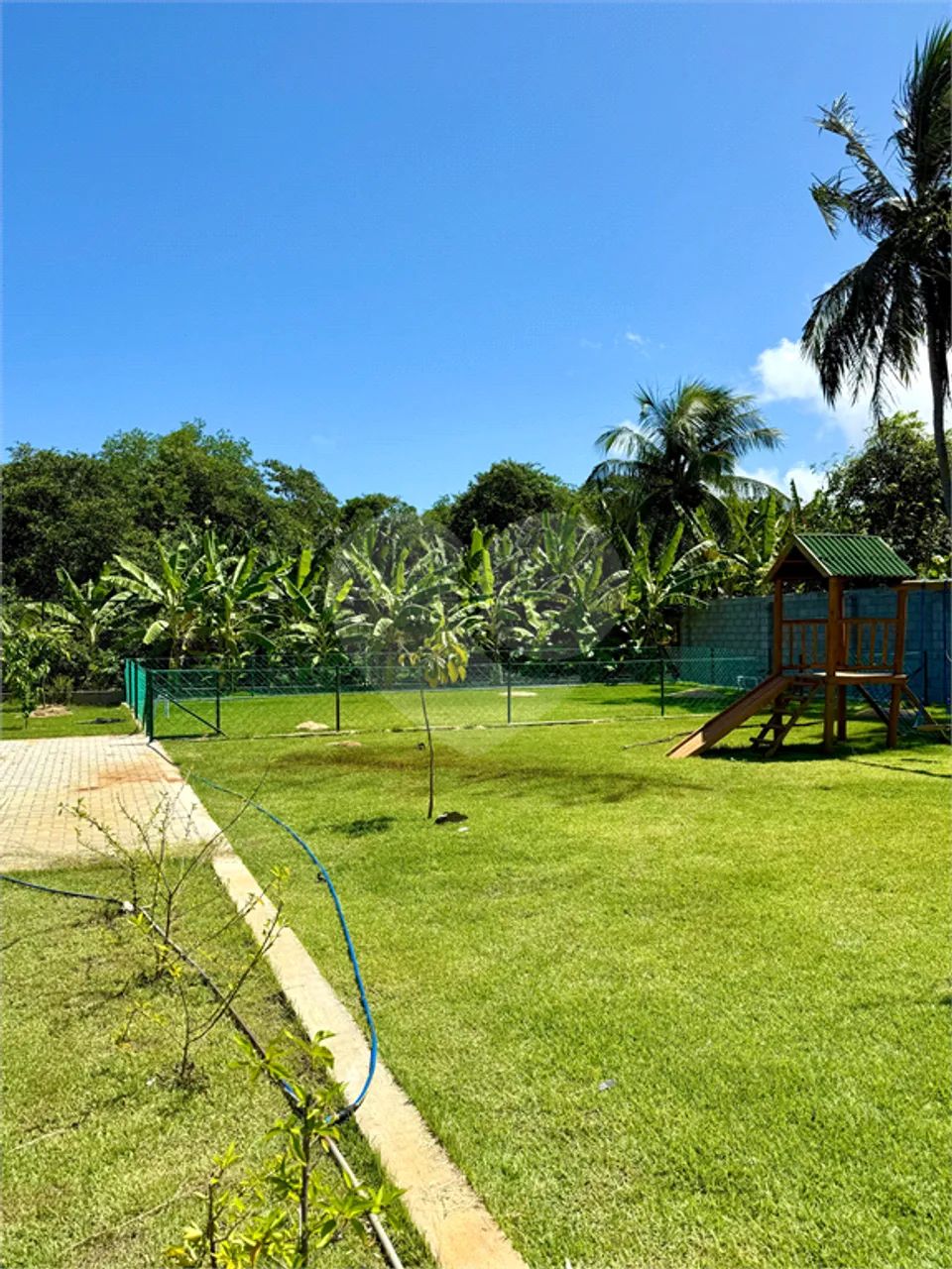Terreno à venda em Povoado barra nova - AL - Foto 3