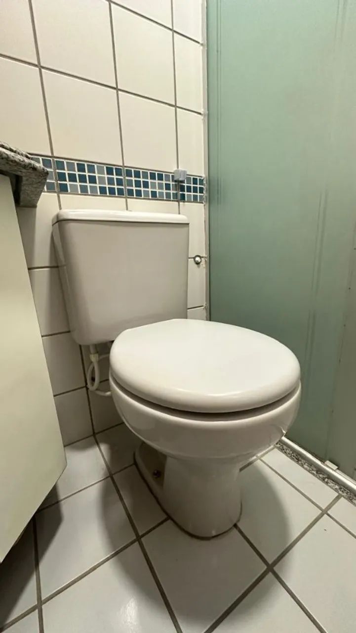Toilet bowl
