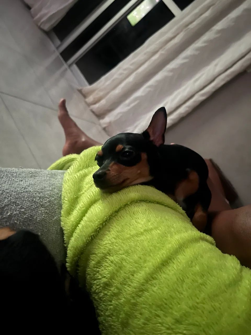 Pincher 0
