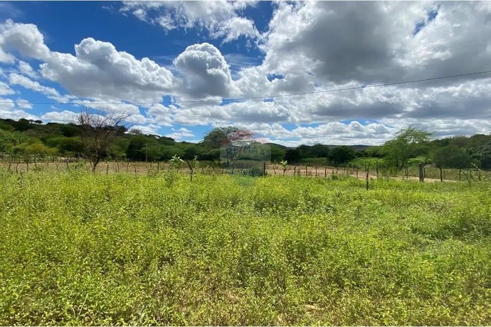 Excelente Casa de Campo à venda - Foto 4