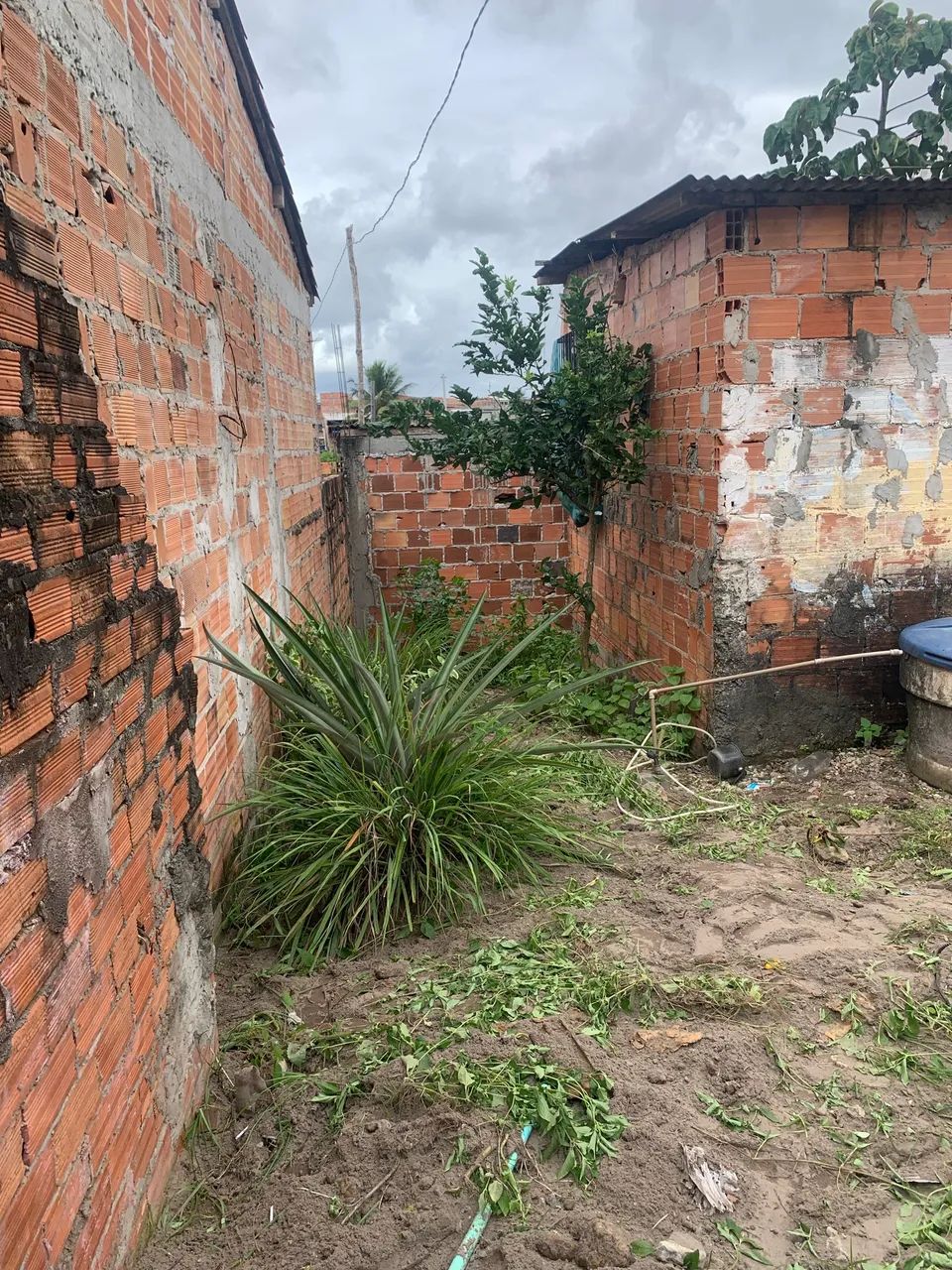 Casa pra vender logo  - Foto 4