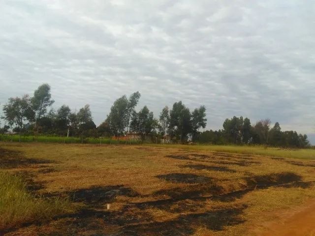 Terreno