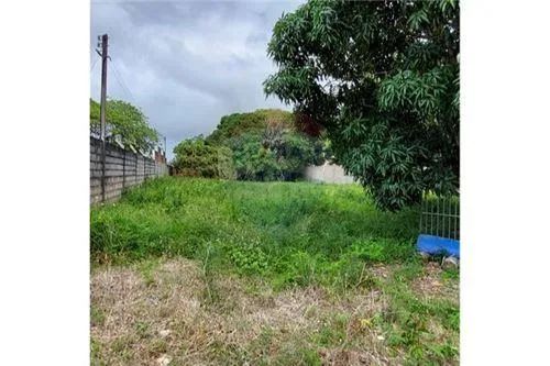Excelente terreno (chacará) próximo a Massagueirinha - Foto 5