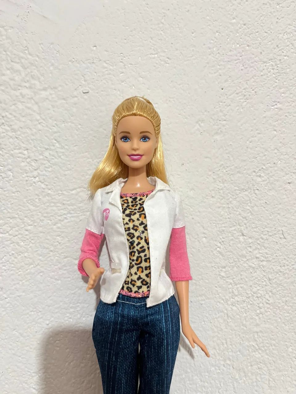 Barbie Veterinária  - Foto 4