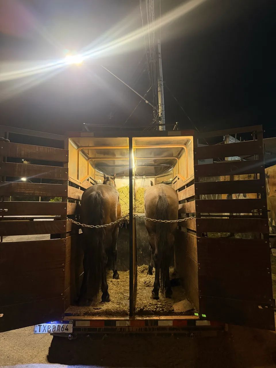 Aluguel Carretinha para 2 Cavalos - Foto 5
