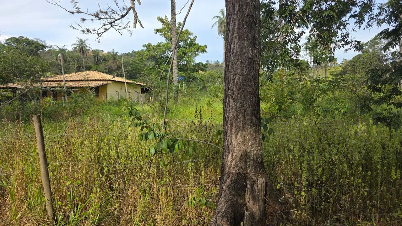 Terreno na paciencia  - Foto 4