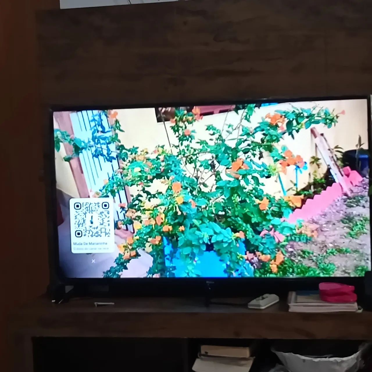 Tv Philco smart 