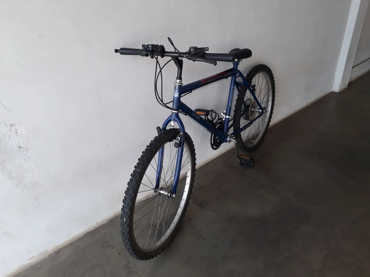 BICICLETA  10 MARCHAS COMPLETA REVISADA 