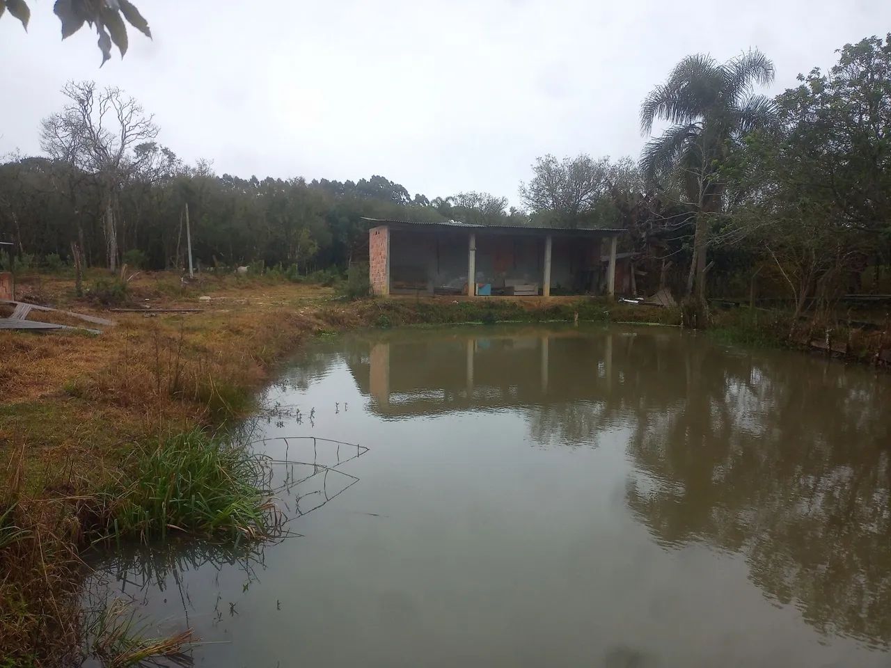 Área para formar chácara  - Foto 5