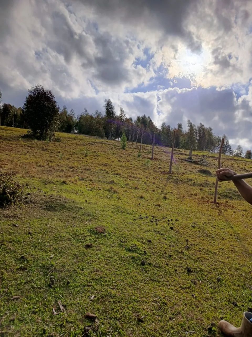 Chácara de 3.833 m^2 