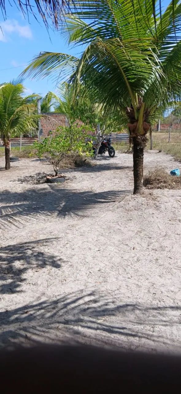 Terreno á venda - Foto 2