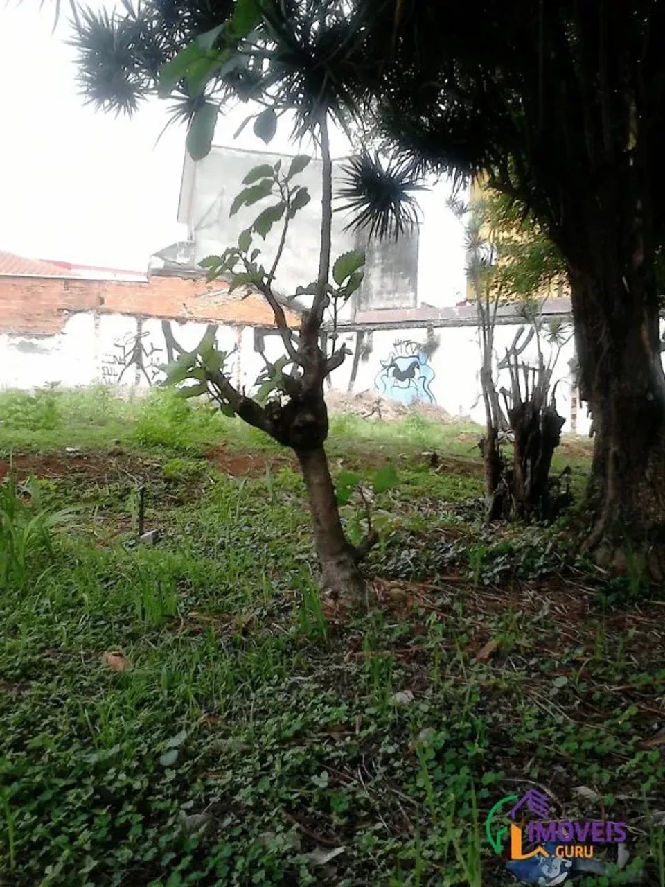 AREA - ALTO DA LAPA - SP - Foto 2
