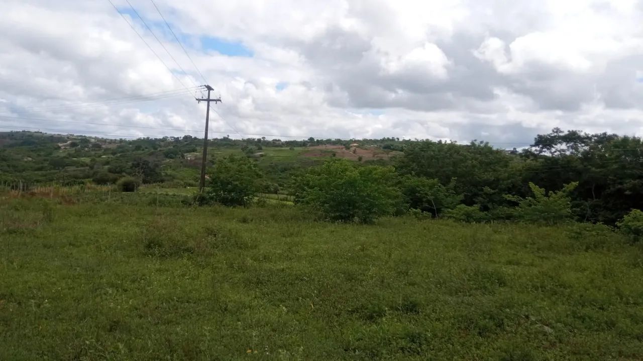 Sítio em Lagoa de Roça com terra fértil  - Foto 2