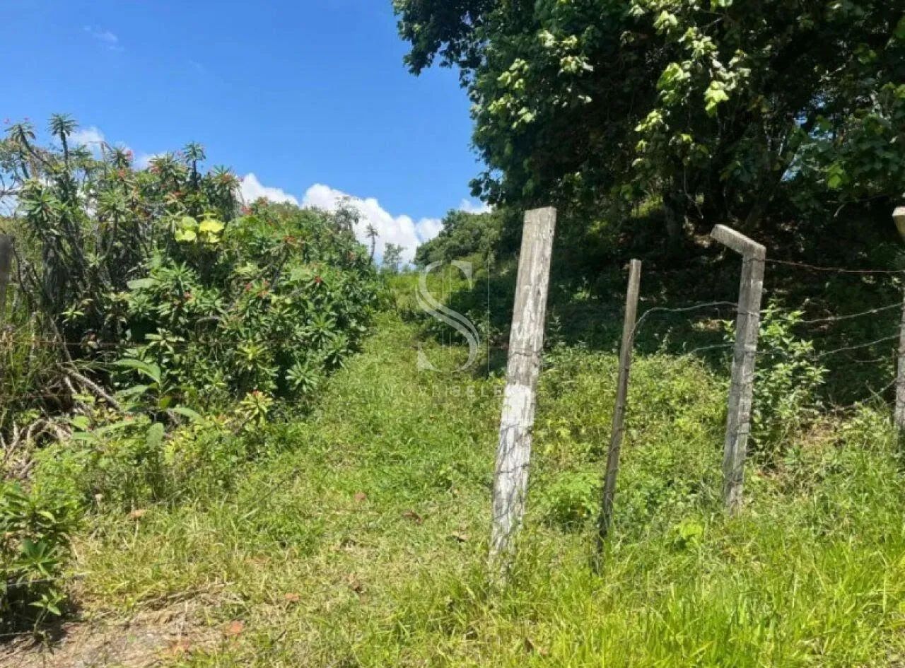 Terreno em Parque Edu Chaves - São Paulo - Foto 5