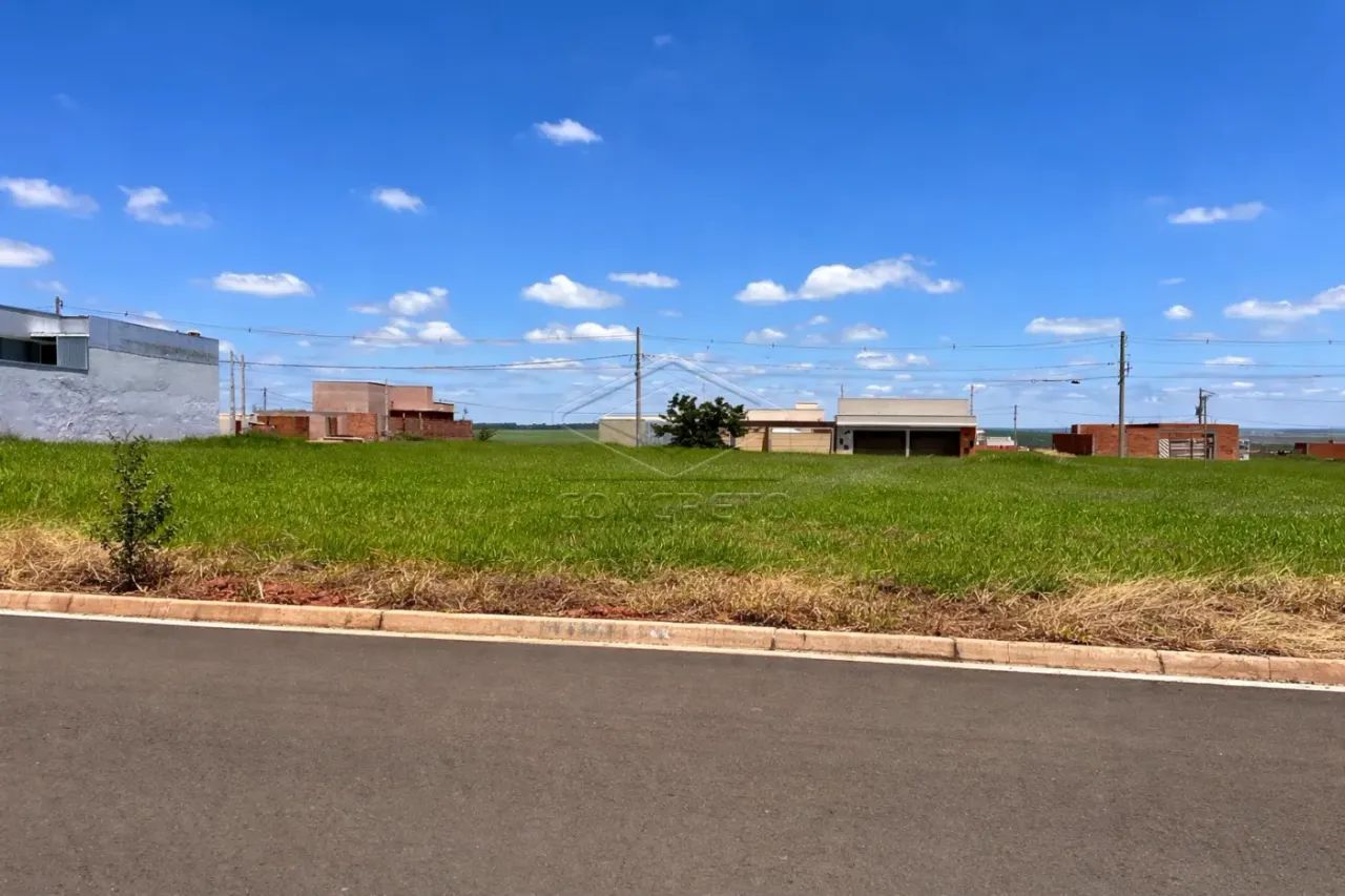 TERRENO COM POTENCIAL RESIDENCIAL E COMERCIAL