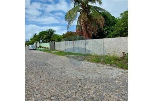 Excelente terreno (chacará) próximo a Massagueirinha - Foto 4