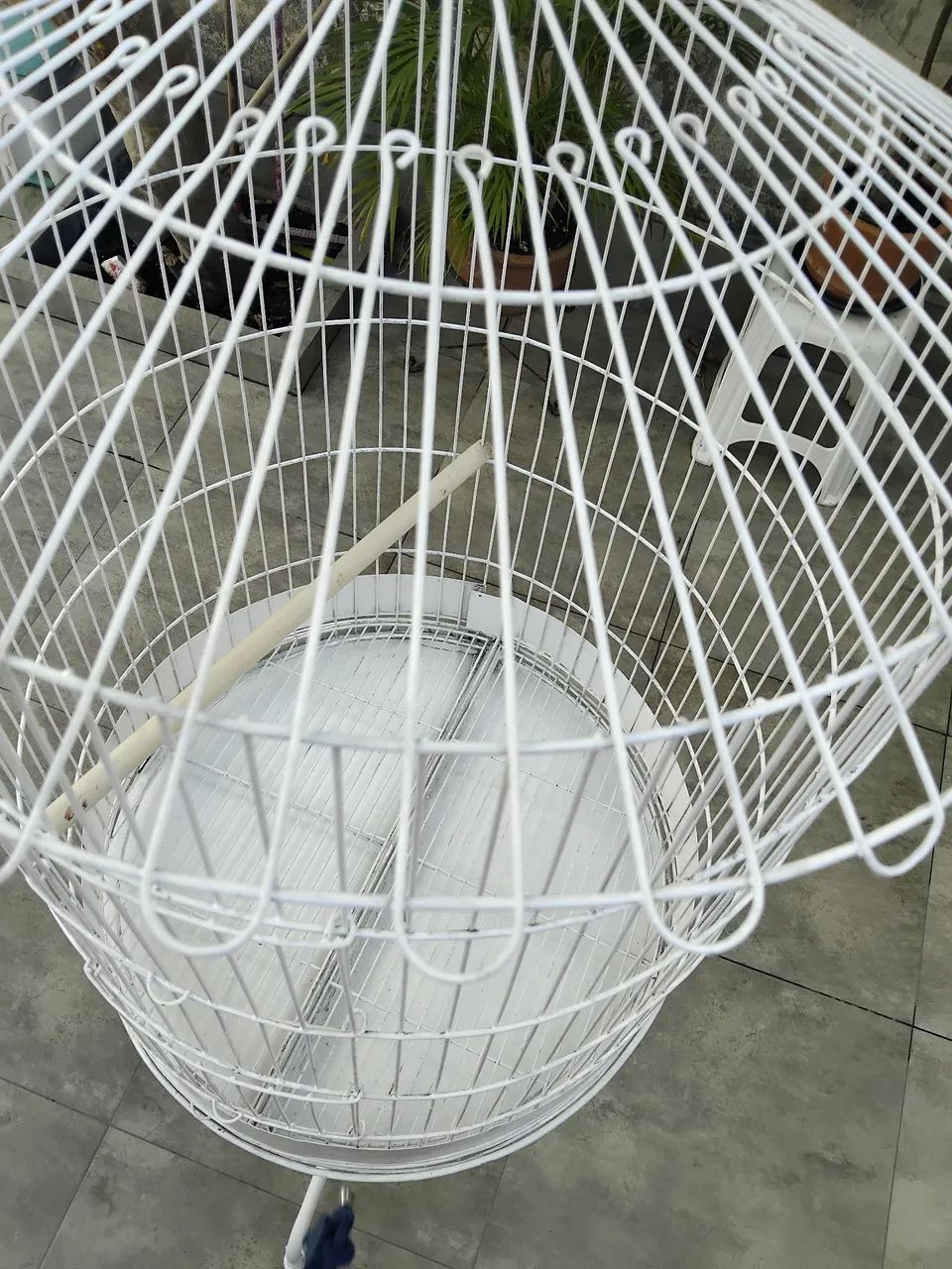 Viveiro/ gaiola.65093396965251121