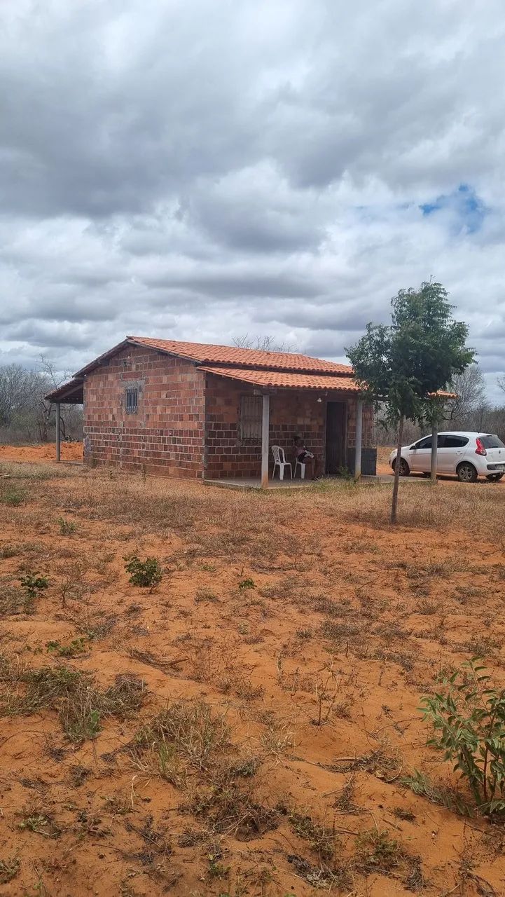Vendo 5 tarefas 