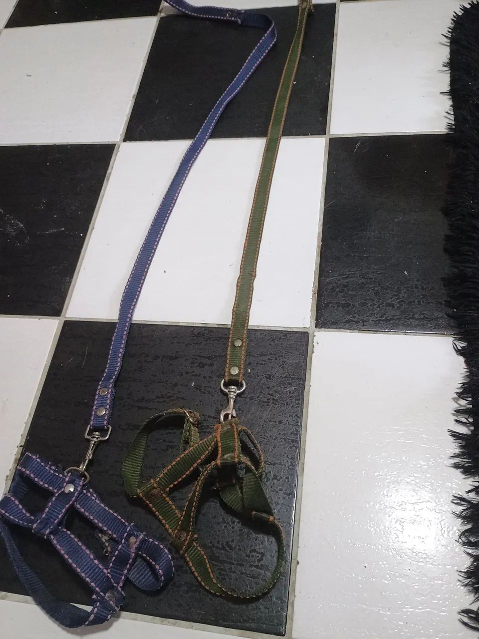 Guaia de cão pq.porte - Foto 3