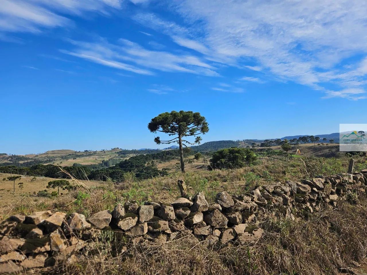 Área Rural em Cedro, Urupema/SC - Foto 2
