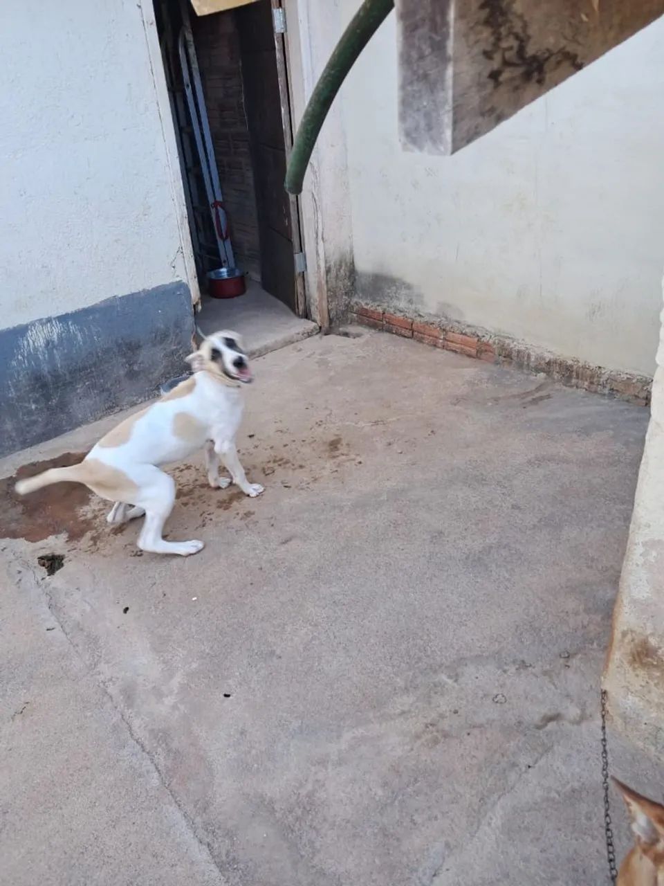 Doação  - Foto 2