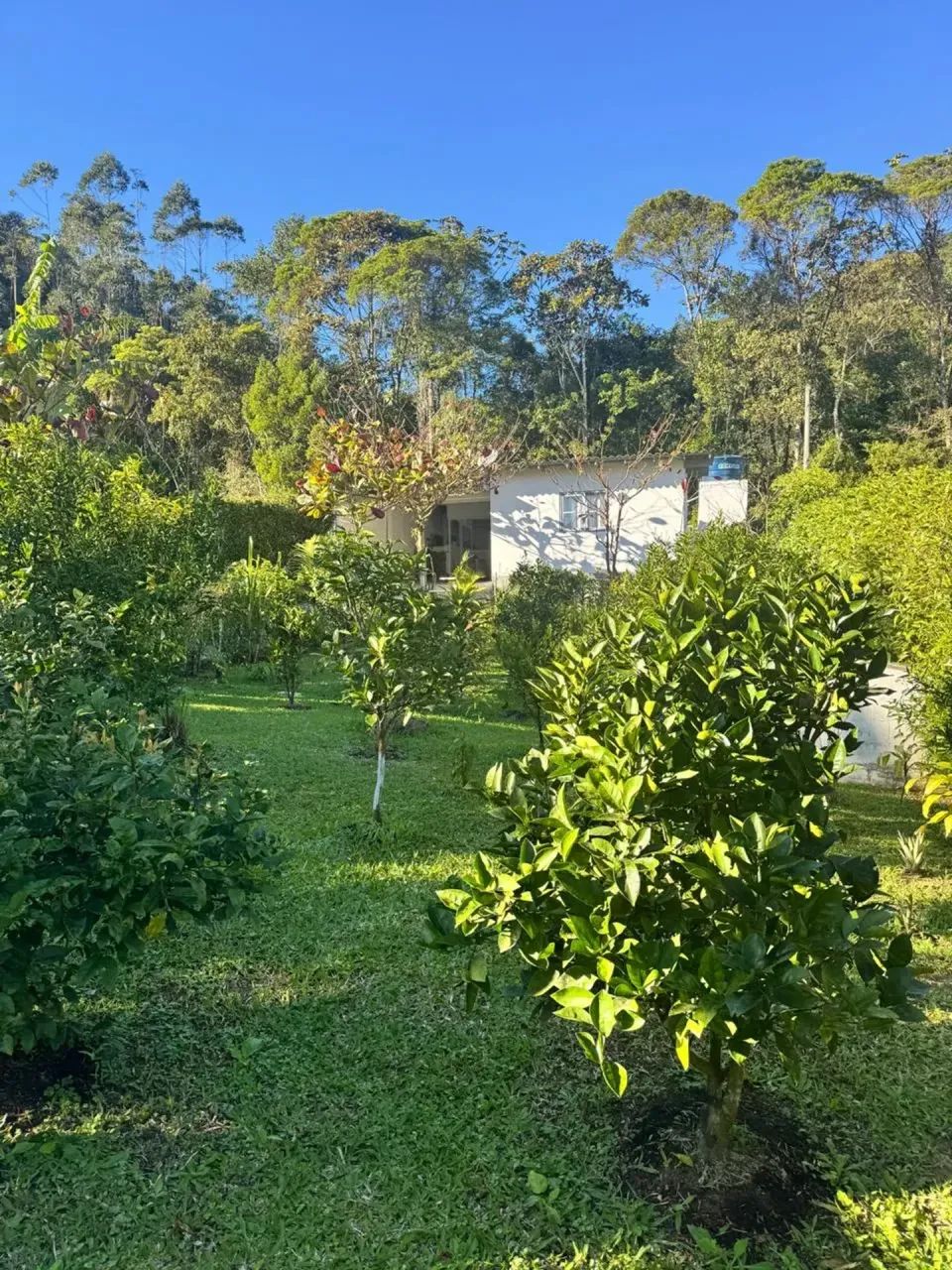 Chácara completa! - Foto 4