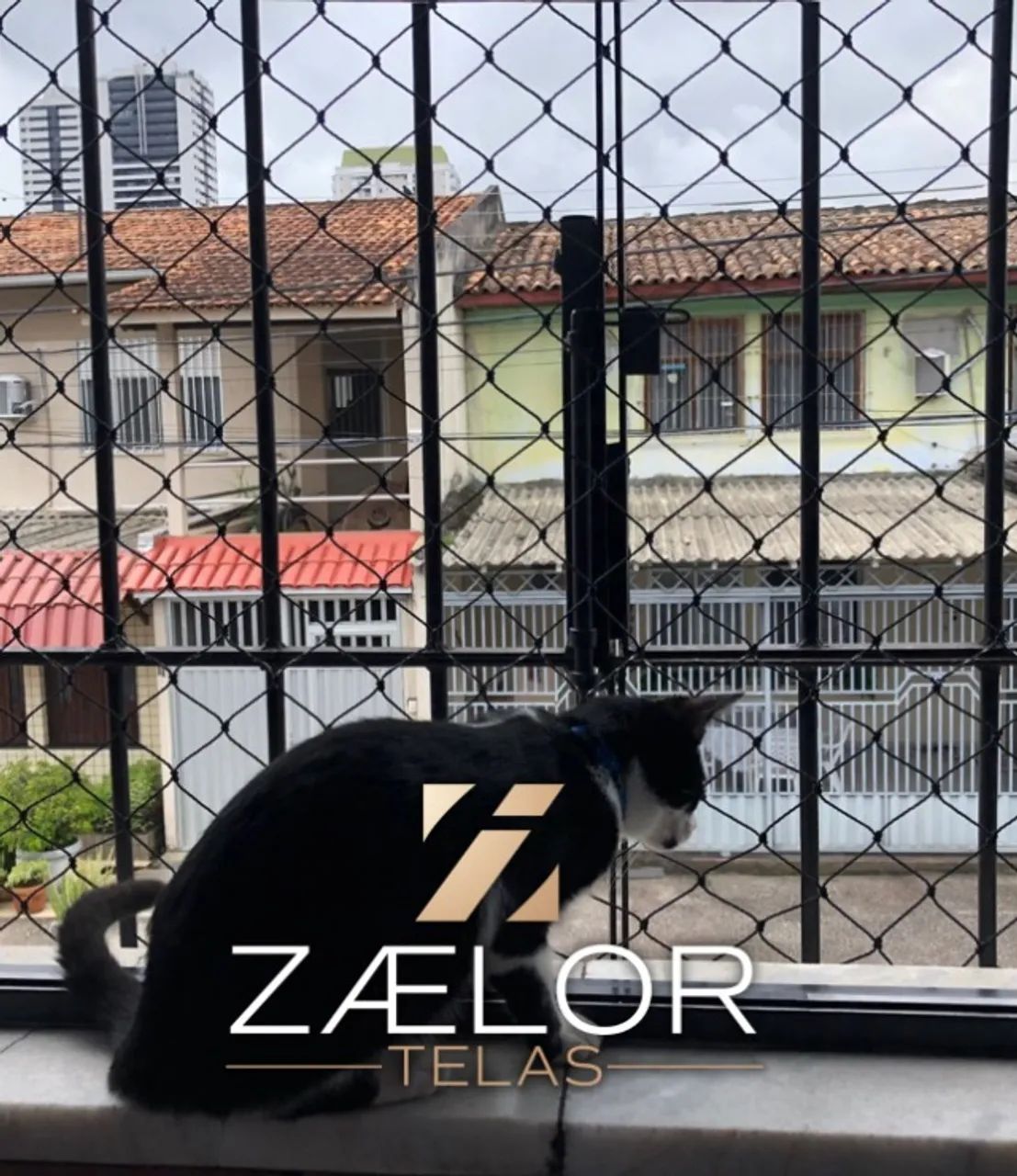 REDE DE PROTEÇÃO PARA GATOS - Foto 3