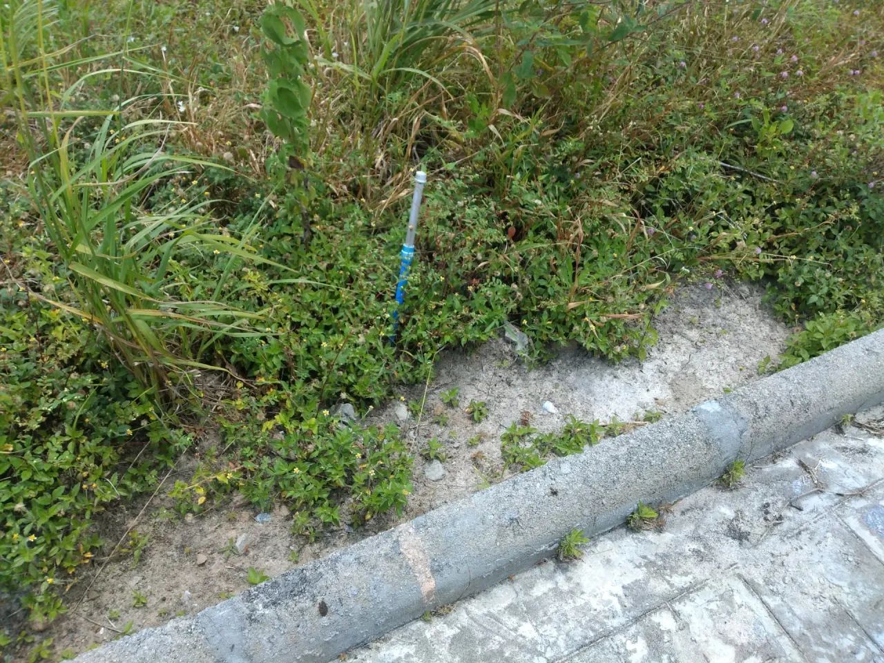 VENDO LOTE NO CONDOMÍNIO REAL VILLE, EM RIO REAL/BA - Foto 6