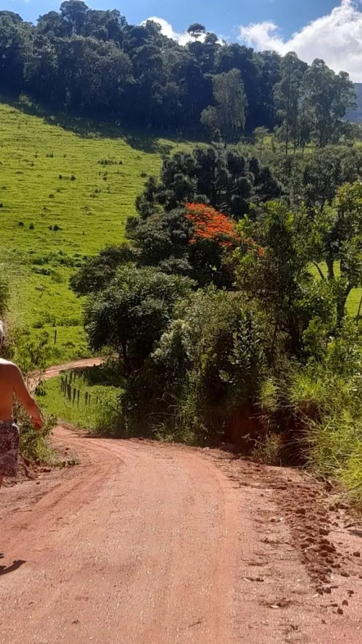 Carnaval no Gamarra - Foto 15