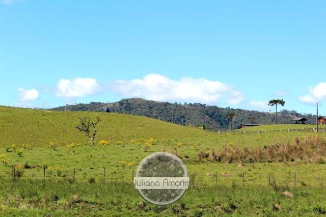 Terreno as margens da BR 282 em Bom Retiro - Foto 7