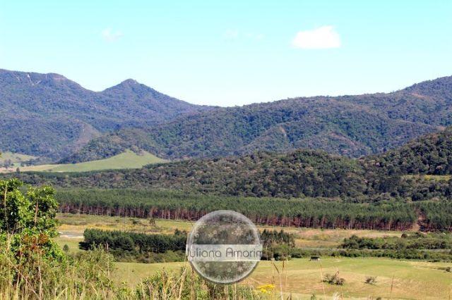 Terreno as margens da BR 282 em Bom Retiro - Foto 13