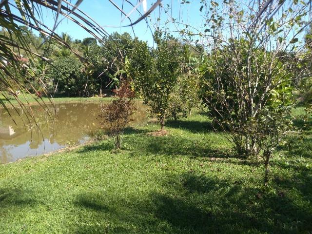 Jordão corretores - Sítio em Papucaia - Foto 11