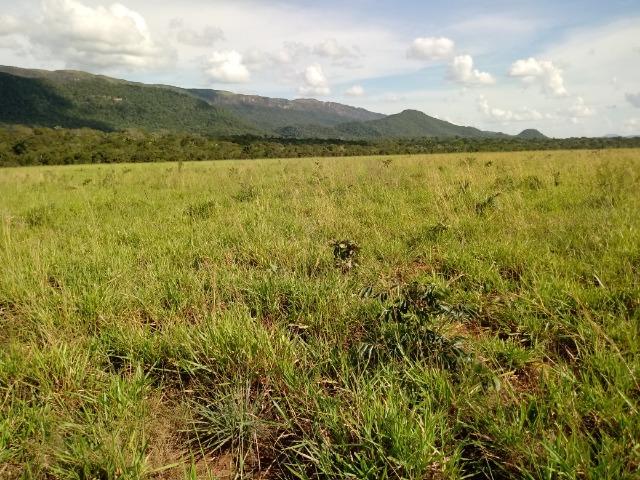 Fazenda em rosário oeste 784 hectares - Foto 17