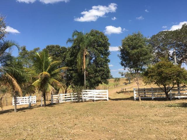 Fazenda 25 Alqueires. Município de Pontalina-GO - Foto 16