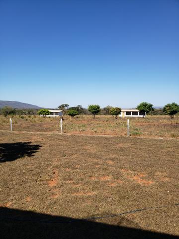 Fazenda de 510ha em Buritis MG - Foto 3