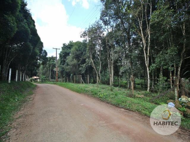 Terreno à venda em Piraquara, Piraquara cod:9739