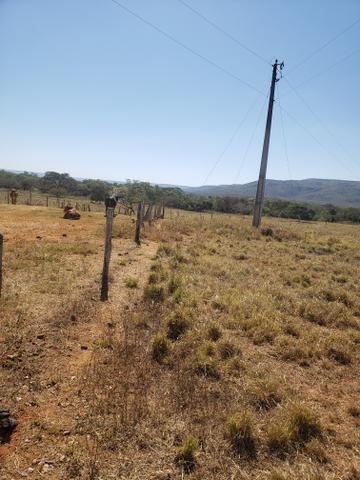 Fazenda de 510ha em Buritis MG - Foto 16